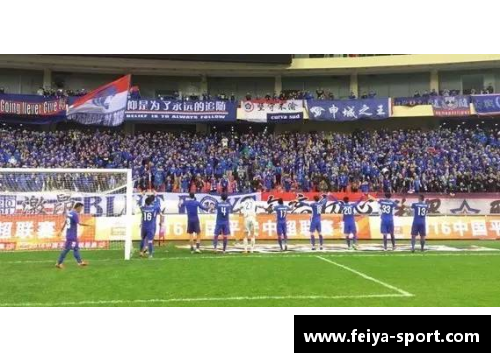 华夏球员12:新季征程与挑战 华夏球员12:新季征程与挑战