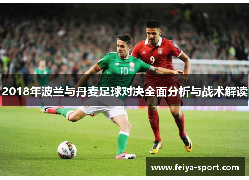 2018年波兰与丹麦足球对决全面分析与战术解读 2018年波兰与丹麦足球对决全面分析与战术解读